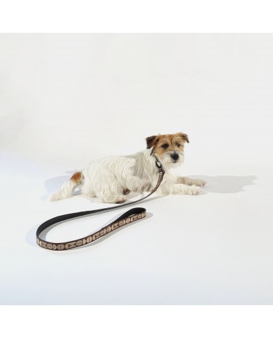 Leather collar and leash