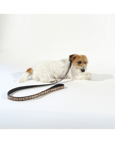 Leather collar and leash