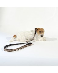 Leather collar and leash