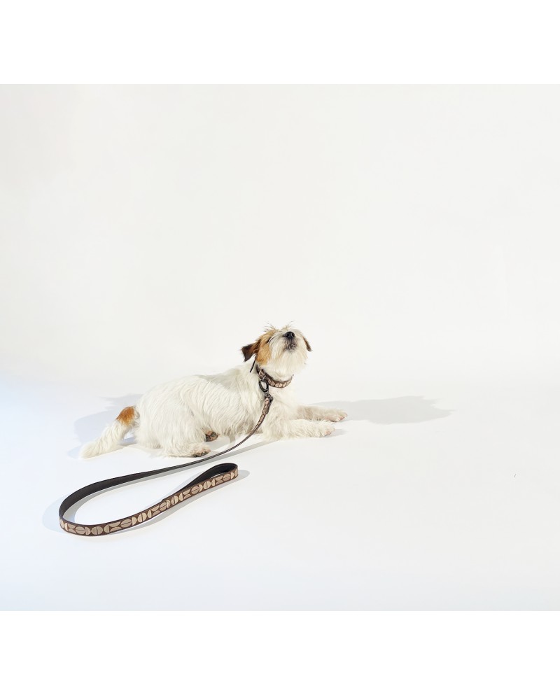 Leather collar and leash